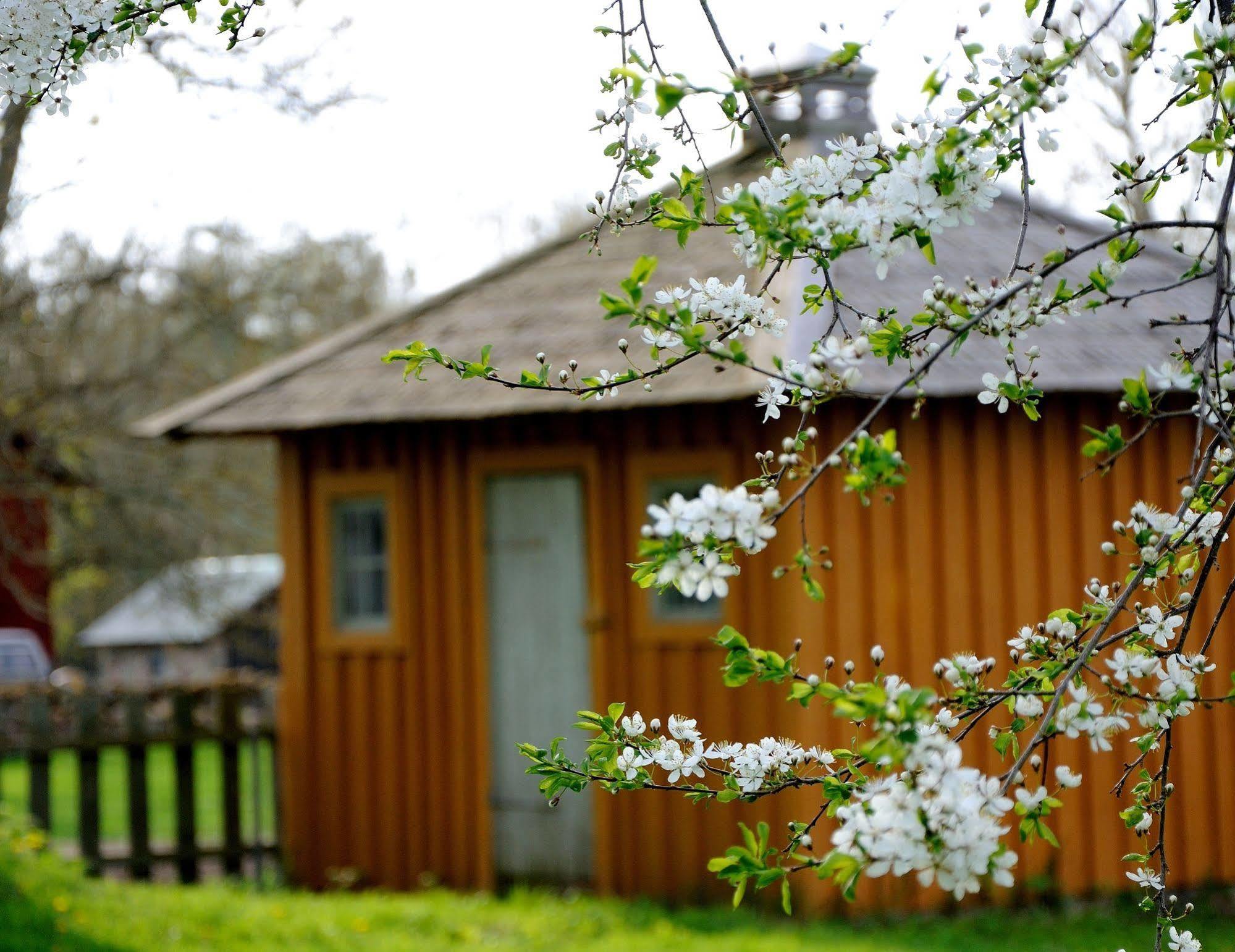 Naestegarden Bed & Breakfast Sätuna Exterior photo